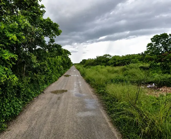 Terreno en venta en Chichi Suarez, Mérida — foto 3 de 4