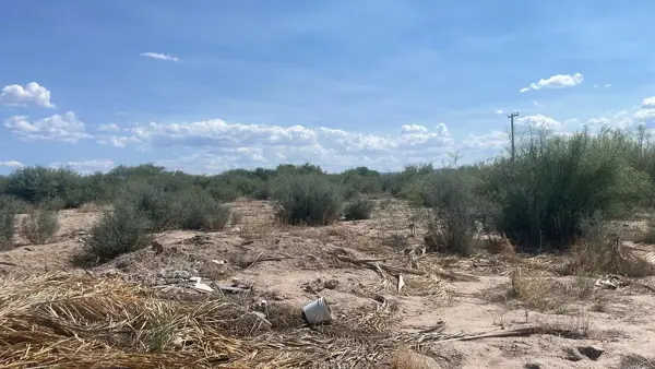 Terreno en venta en Hacienda los Olivos, Matamoros — foto 3 de 3