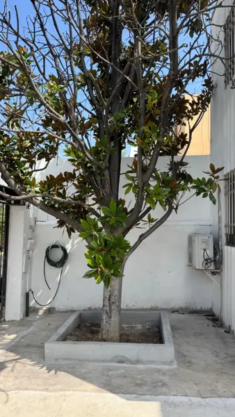 Casa en renta en Residencial la Hacienda, Monterrey — foto 3 de 30