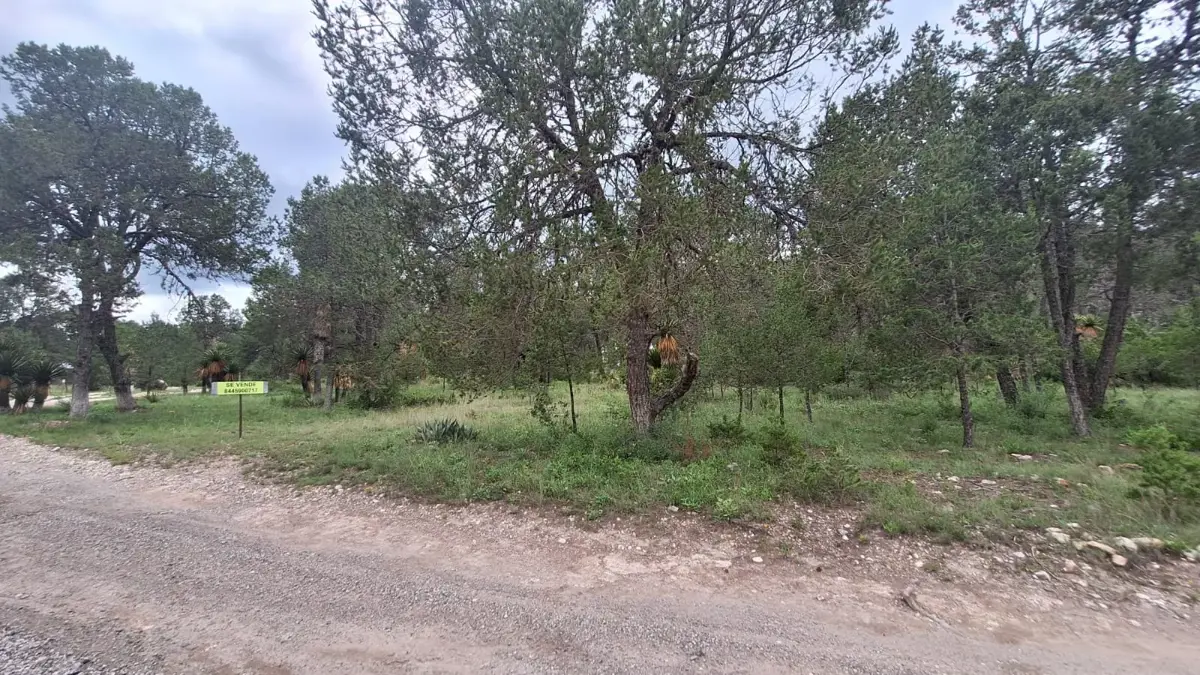 Terreno en venta en Artesillas, Arteaga — foto 1 de 10