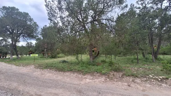 Terreno Campestre  en Sierra Escondida, Arteaga, tu Bosque Privado 3,640 m²