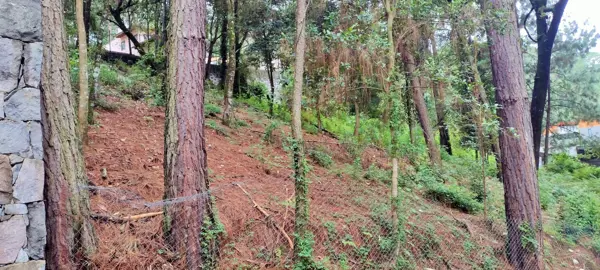 Terreno en venta en Avandaro, Valle de Bravo — foto 3 de 10