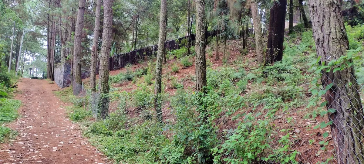 Terreno en venta en Avandaro, Valle de Bravo — foto 1 de 10