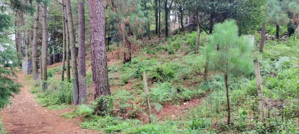 Terreno en venta en Avandaro, Valle de Bravo — foto 2 de 10