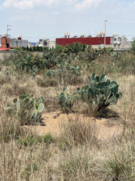 Terreno en venta en Luna, Zempoala — foto 3 de 10