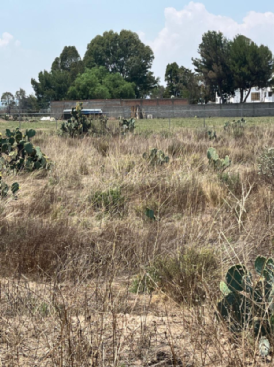 Terreno en venta en Luna, Zempoala — foto 1 de 10