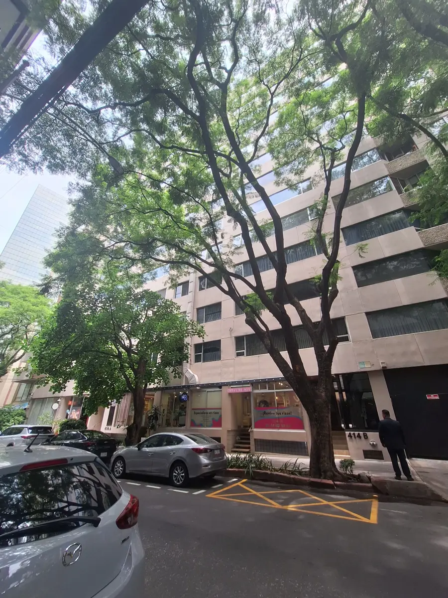 Departamento en renta en Polanco II Sección, Miguel Hidalgo — foto 1 de 52