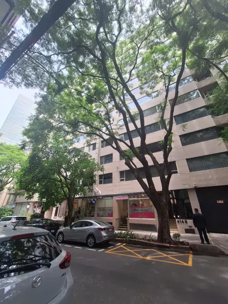 Hermoso Departamento en Renta en Campos Eliseos, Polanco II Sección, Ciudad de México