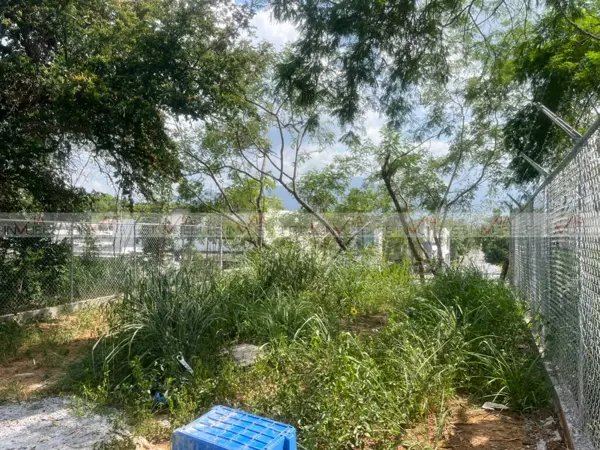 Terreno en venta en Vista de Allende, Allende — foto 2 de 12