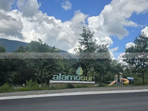 Alamo sur
