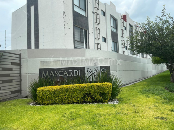 Casa en renta en Del Parque Residencial, El Marqués — foto 3 de 36