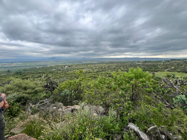 Terreno Rancho en Venta en Buenavista en San Juan del Río, Querétaro