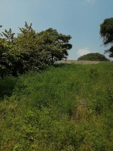 Terreno en venta en Altos de Oaxtepec, Yautepec — foto 3 de 7