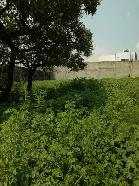Terreno en venta en Altos de Oaxtepec, Yautepec — foto 2 de 7