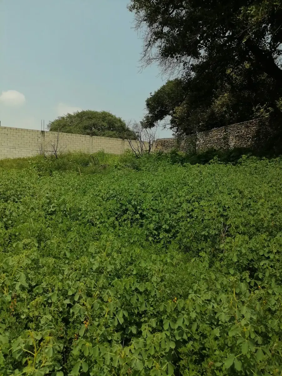 Terreno en venta en Altos de Oaxtepec, Yautepec — foto 1 de 7