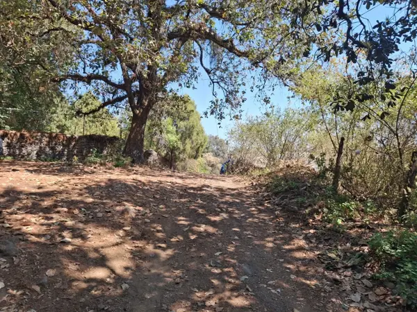 Casa en venta en Huertas de San Pedro, Huitzilac — foto 3 de 52