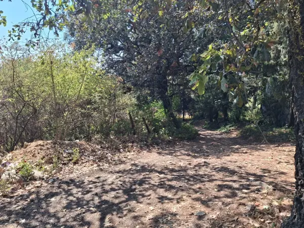 Casa en venta en Huertas de San Pedro, Huitzilac — foto 2 de 52
