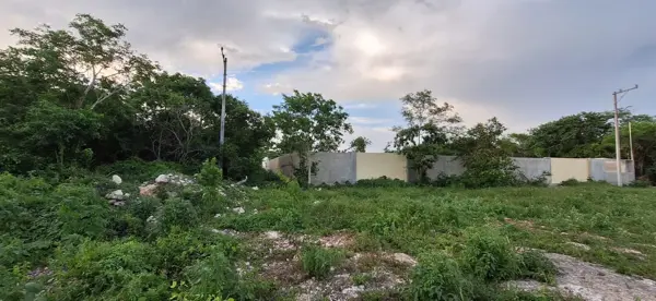 Terreno en renta en Temozon Norte, Mérida — foto 2 de 5