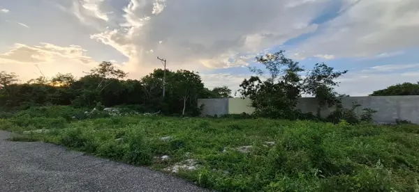 Terreno en renta en Temozon Norte, Mérida — foto 3 de 5