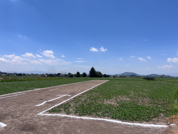 Terreno en venta en San Cristobal Tecolit, Zinacantepec — foto 3 de 11