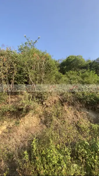 Terreno en venta en Zona Antigua Exhacienda San Agustin, San Pedro Garza García — foto 3 de 12