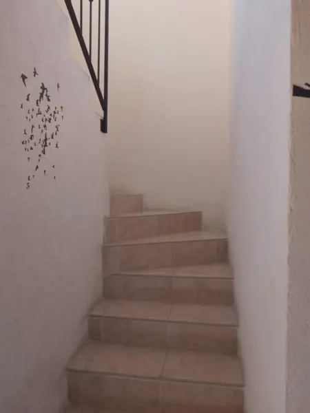 Casa en venta en Tezoyuca, Emiliano Zapata — foto 3 de 20