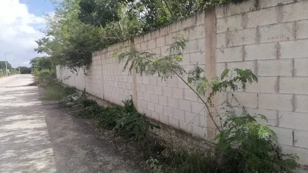 Terreno en renta en Cholul, Mérida — foto 3 de 5
