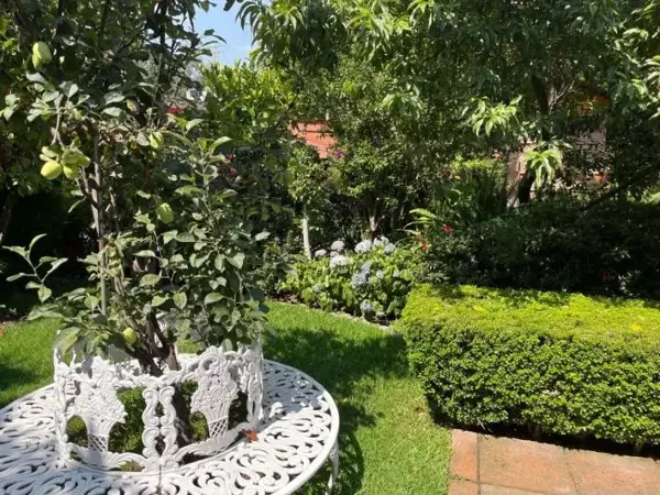 Casa en renta en Jardines del Pedregal de San Angel, Coyoacán — foto 2 de 3