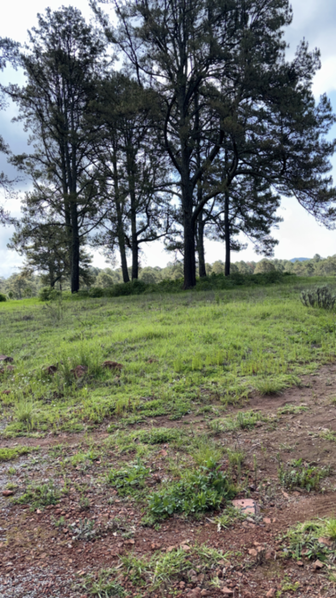 Terreno en venta en Ferreria de Tula, Tapalpa — foto 1 de 7