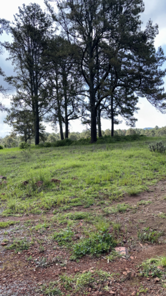Terreno en venta en Ferreria de Tula, Tapalpa, Jalisco