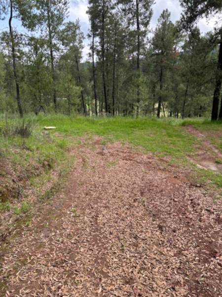 Terreno en venta en Ferreria de Tula, Tapalpa — foto 3 de 7