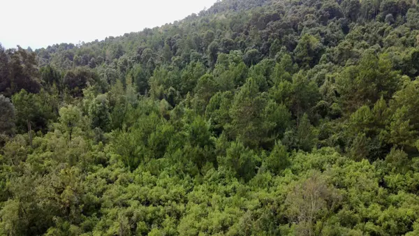 Terreno en venta en Cuadrilla de Dolores, Valle de Bravo — foto 2 de 9