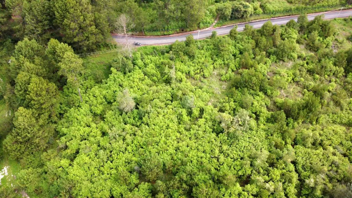 Terreno en venta en Cuadrilla de Dolores, Valle de Bravo — foto 1 de 9