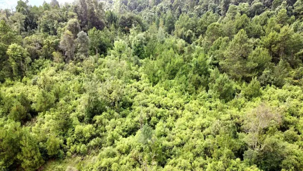 Terreno en venta en Cuadrilla de Dolores, Valle de Bravo — foto 3 de 9