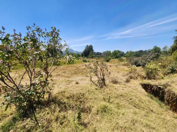 Terreno en venta en Tenantongo, Valle de Bravo — foto 3 de 13