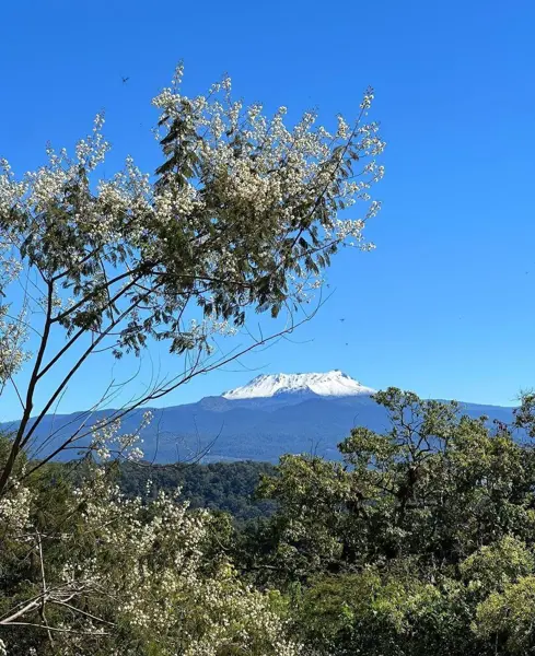 Terreno en venta en Mesa Rica, Valle de Bravo — foto 3 de 6
