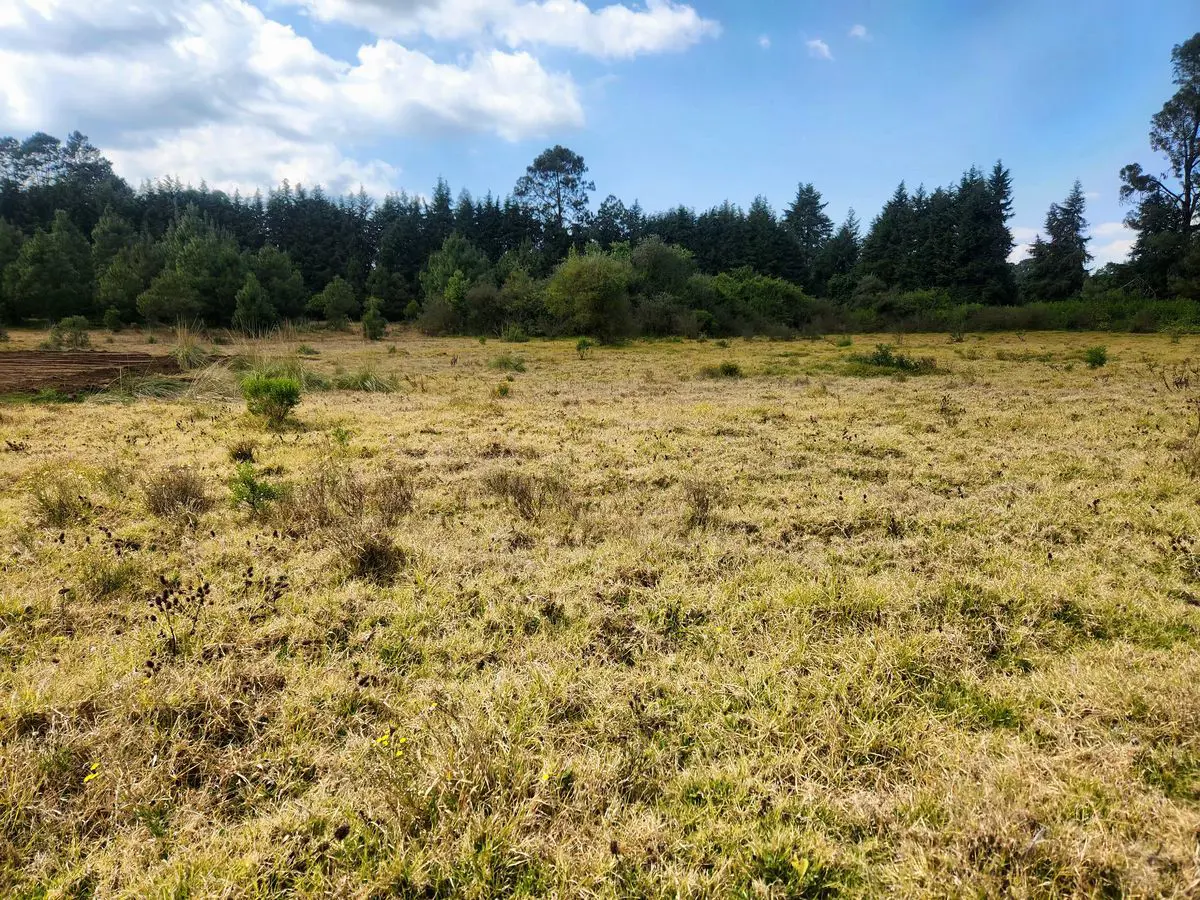 Terreno en venta en Cuadrilla de Dolores, Valle de Bravo — foto 1 de 30