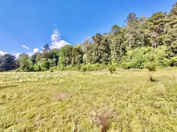 Terreno en venta en Amanalco de Becerra, Amanalco — foto 2 de 16