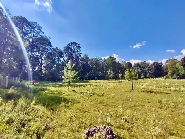 Terreno en venta en Amanalco de Becerra, Amanalco — foto 3 de 16