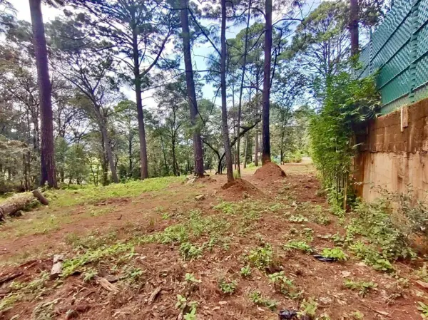 Terreno en venta en San Mateo Acatitlán, Valle de Bravo — foto 2 de 13