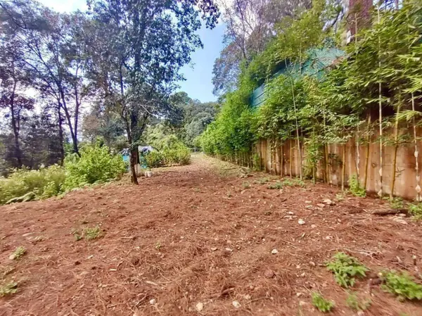 TERRENO EN VENTA, LOS ÁLAMOS