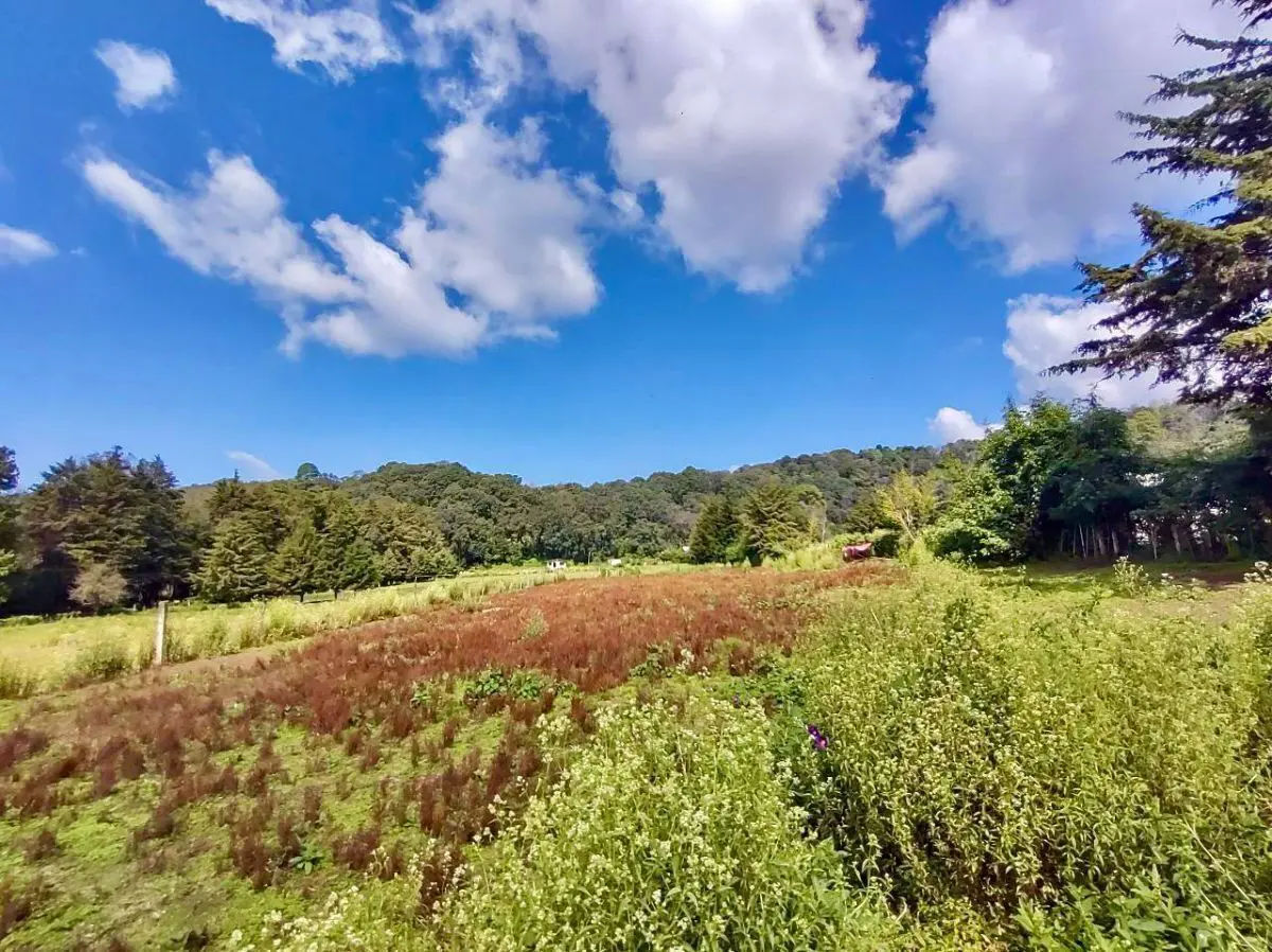 Terreno en venta en Santo Tomás el Pedregal, Valle de Bravo — foto 1 de 15