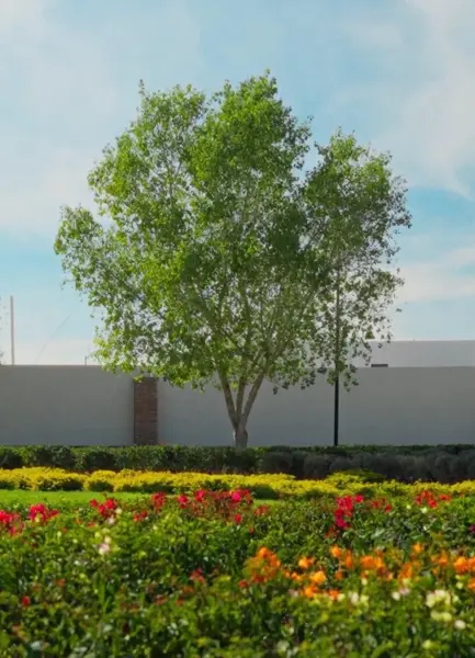 Terreno en venta en Ejido Ana, Torreón — foto 3 de 8
