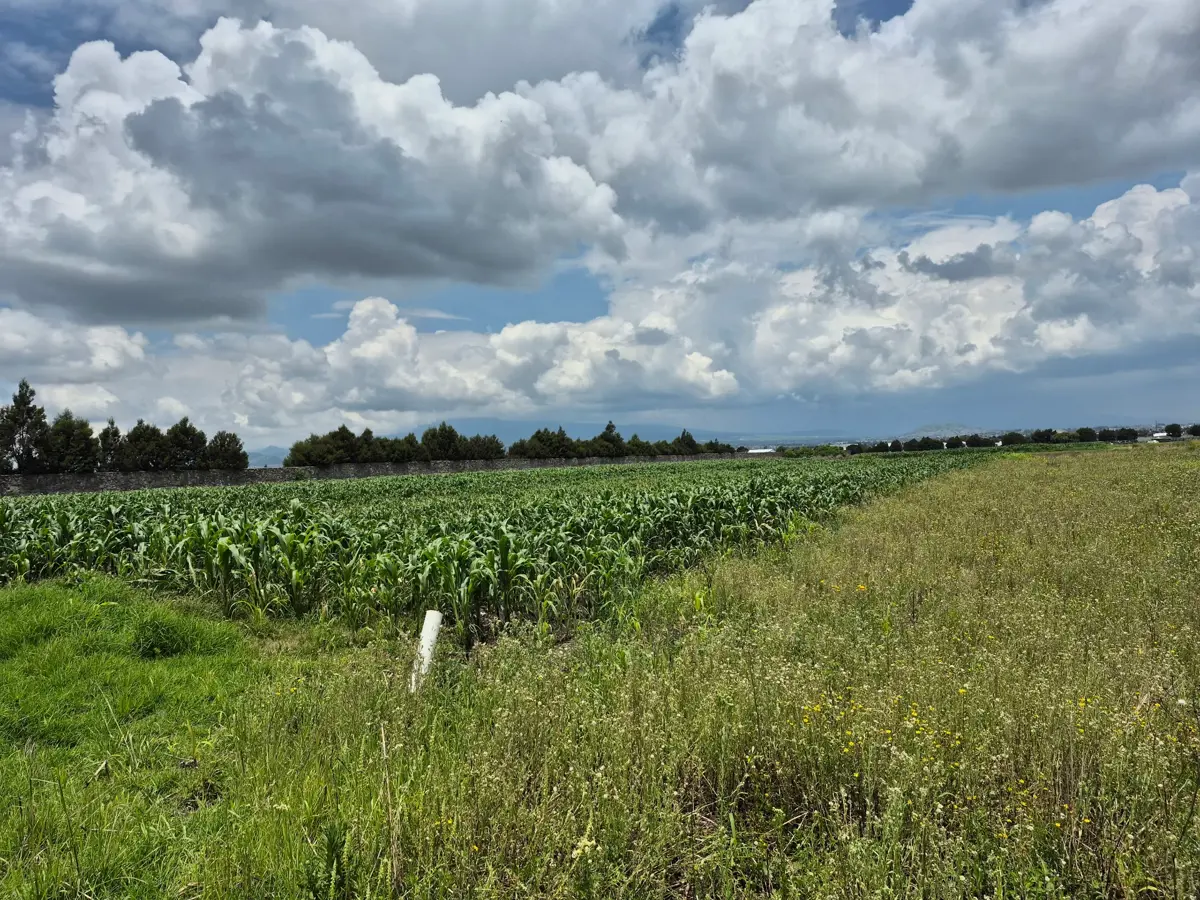 Terreno en venta en San Miguel Totocuitlapilco, Metepec