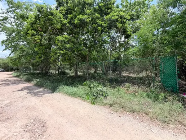 Terreno en venta en Tamanche, Mérida — foto 2 de 11