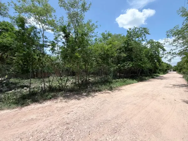 Terreno en venta en Tamanche, Mérida — foto 3 de 11