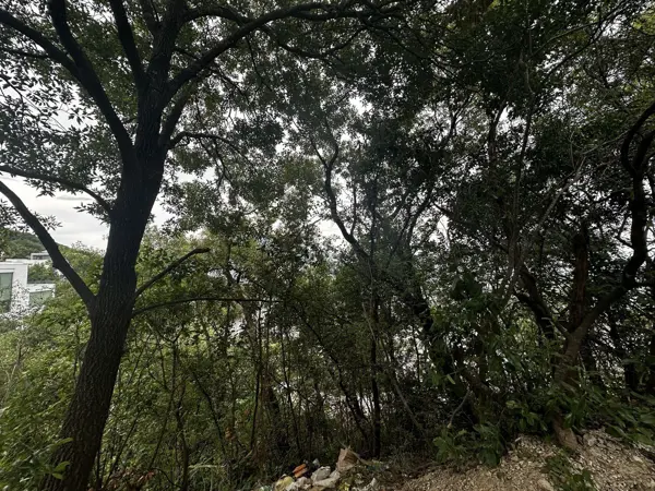 Terreno en venta en Colinas de San Angel, San Pedro Garza García — foto 3 de 3