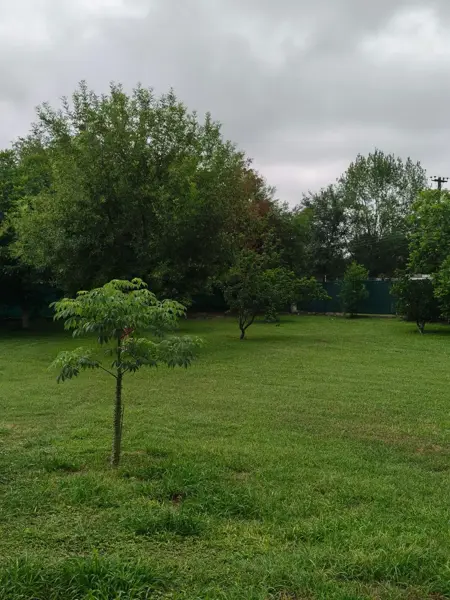 Quinta en venta en Bosques de la Silla (Santa Ana de Abajo), Juárez — foto 2 de 18