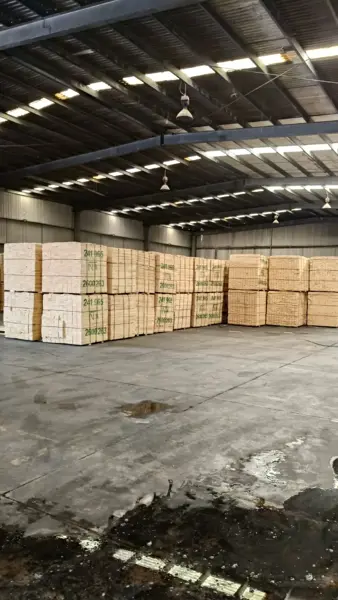 Bodega en renta en Parke 2000, Veracruz — foto 2 de 6