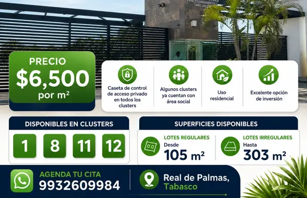Terreno en venta en San Carlos Real de Palmas, Centro — foto 2 de 2